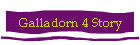 Galladorn 4 Story